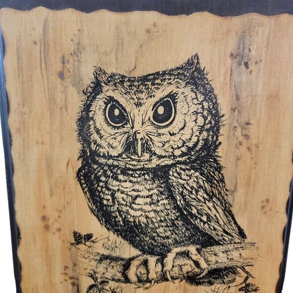 Screech Owl Wood Art Wall Decor Signed 11" Custom Artwork - Picture 3 of 10